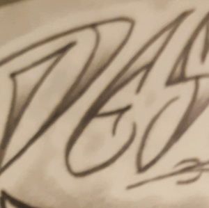 Meet your Posher, Destiny